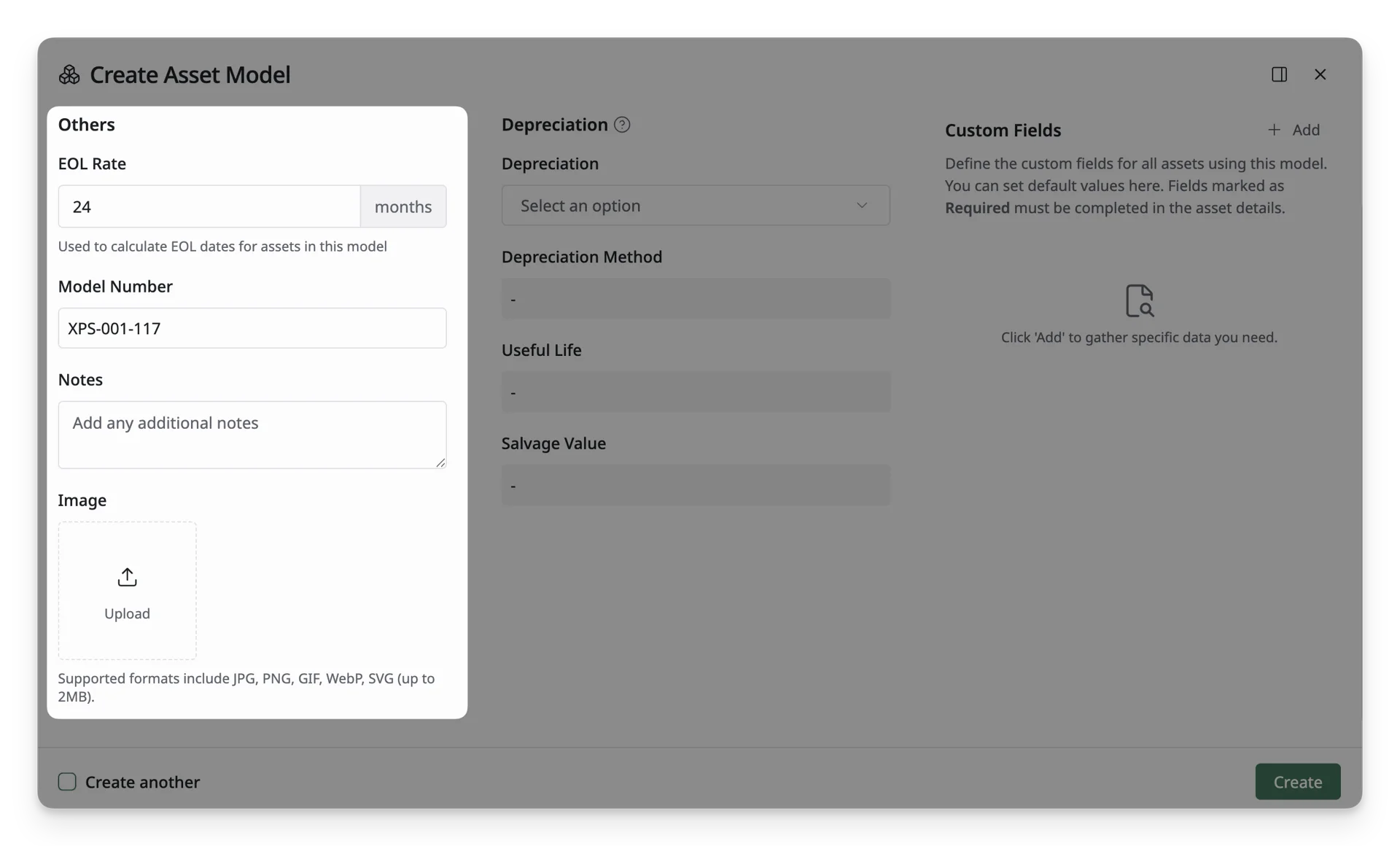 Other Asset Model Information
