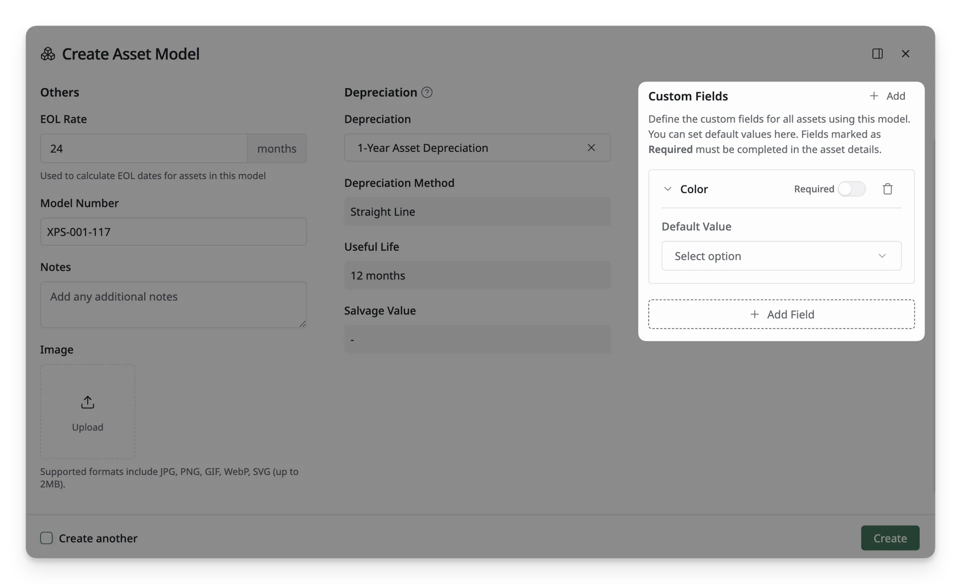 Asset Model Custom Field Information