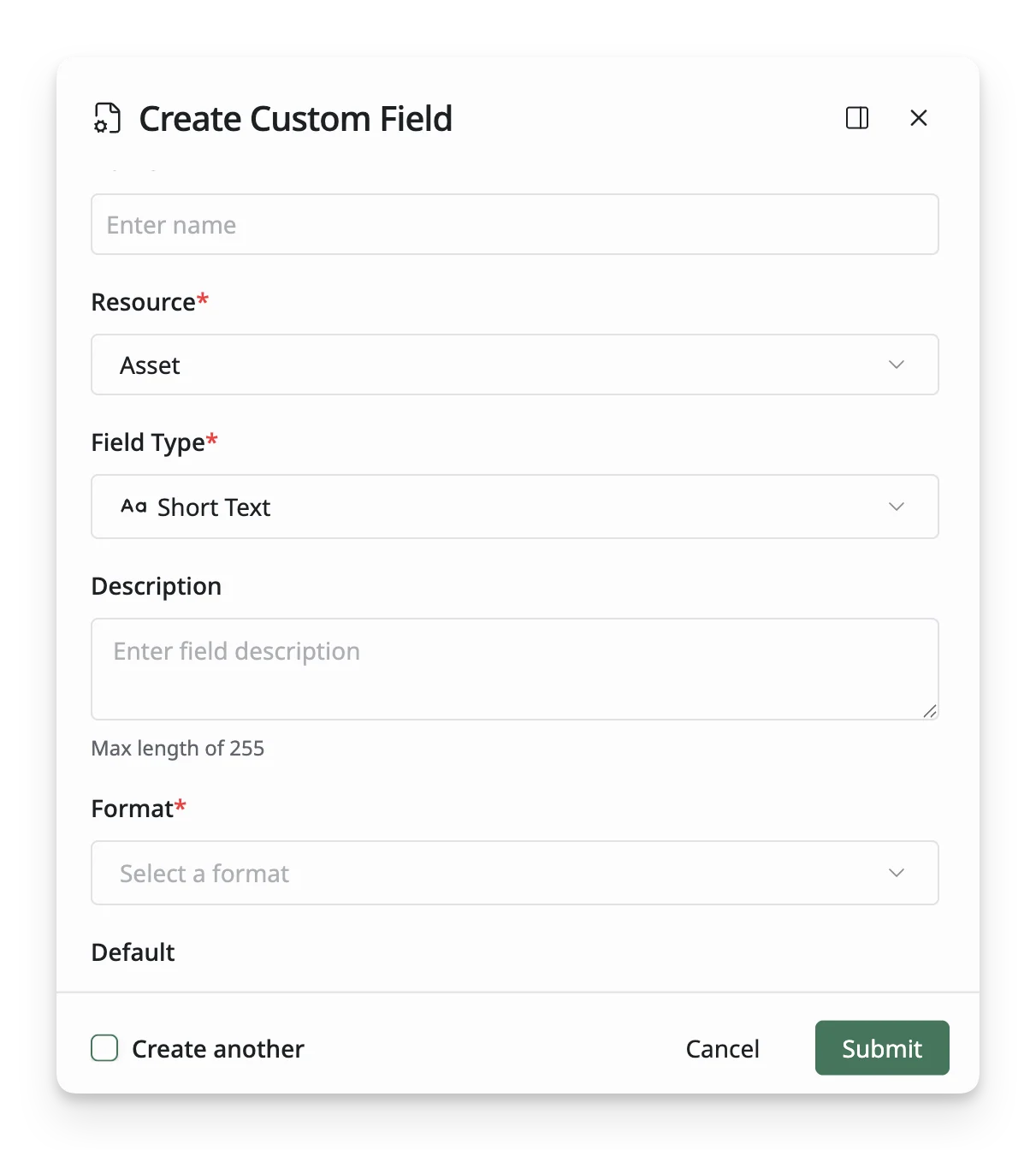 Custom Field Form