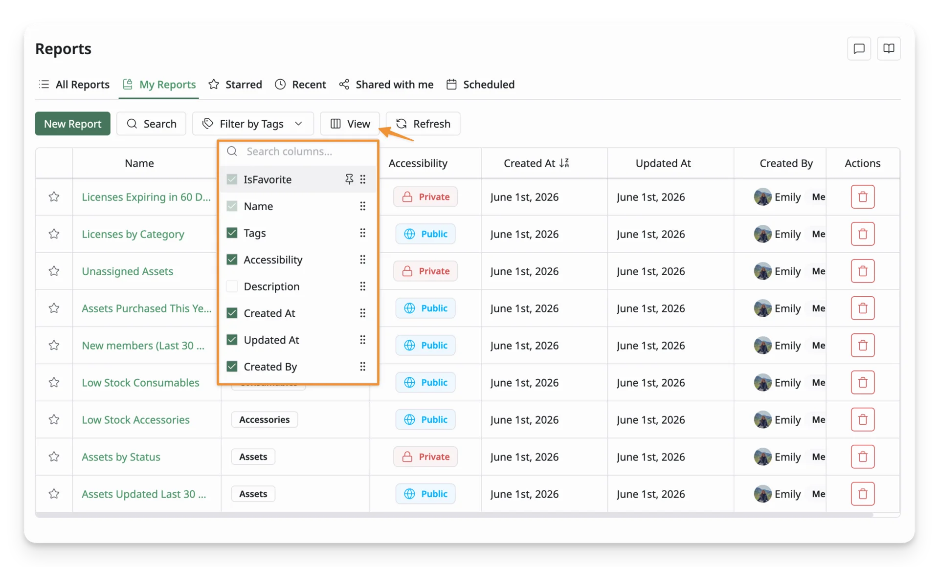 Report View Customization