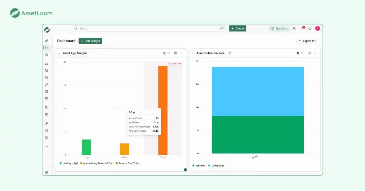Asset age and utilization analysis in AssetLoom