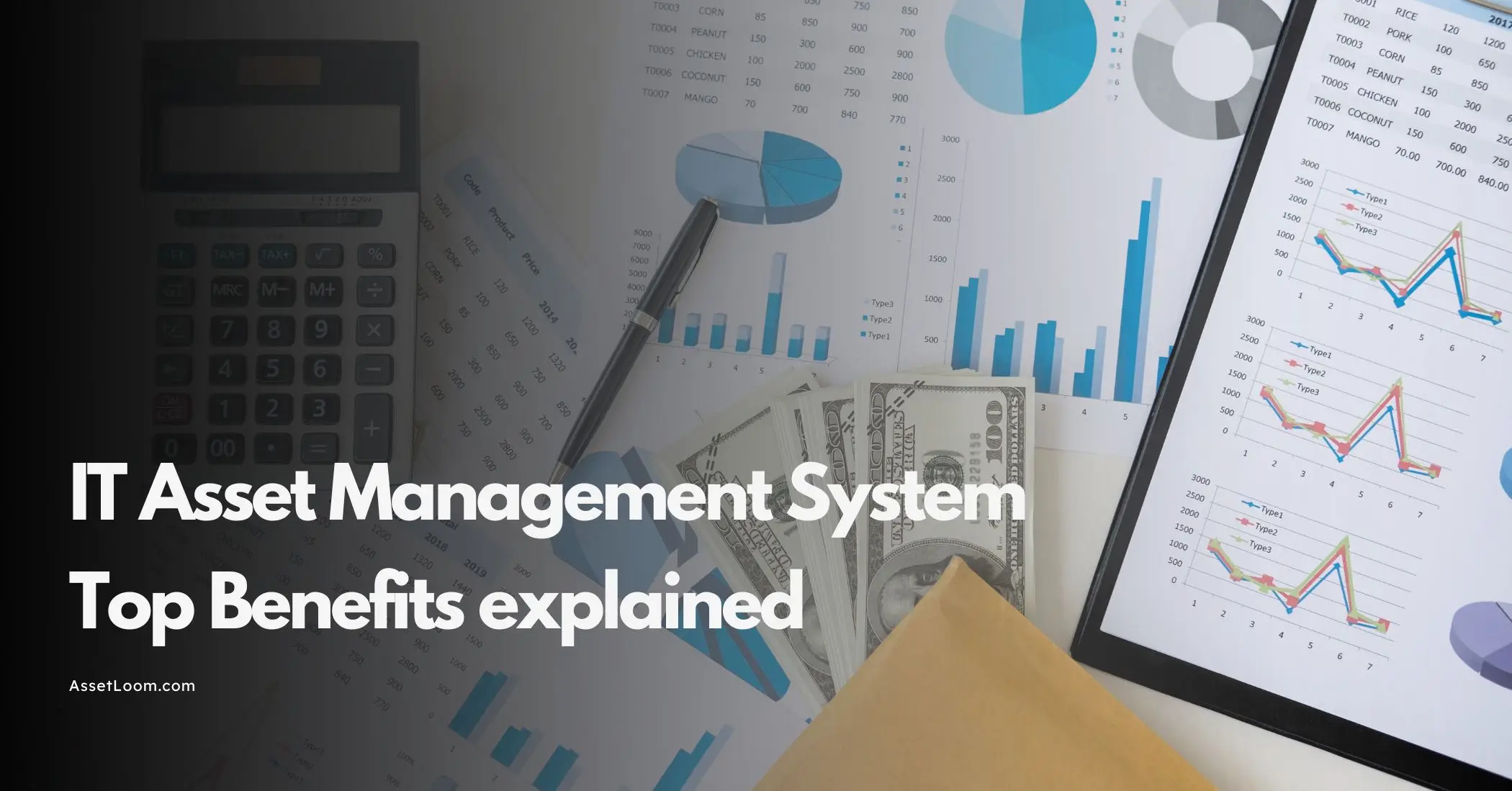 Benefits of an Information Technology Asset Management System