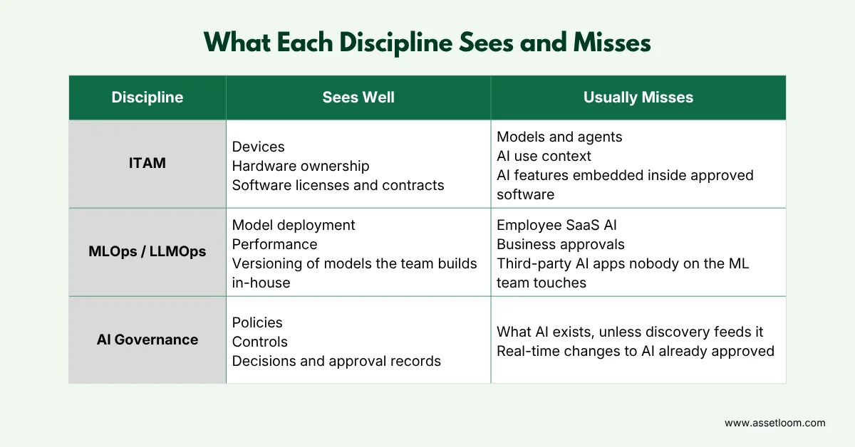 What Each Discipline Sees and Misses